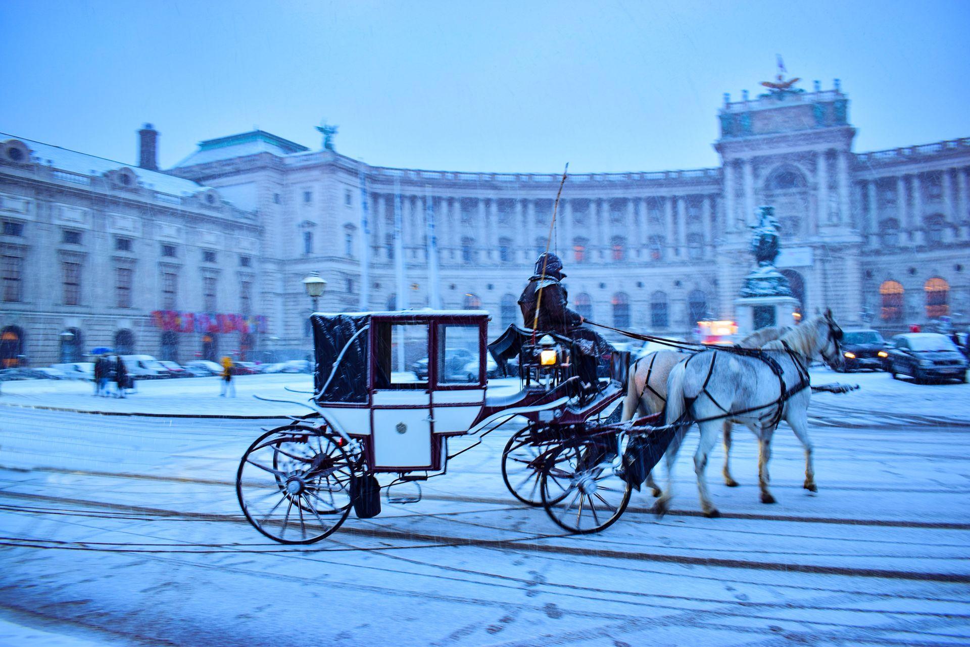 fiaker vor der hofburg in wien bei schnee im winter